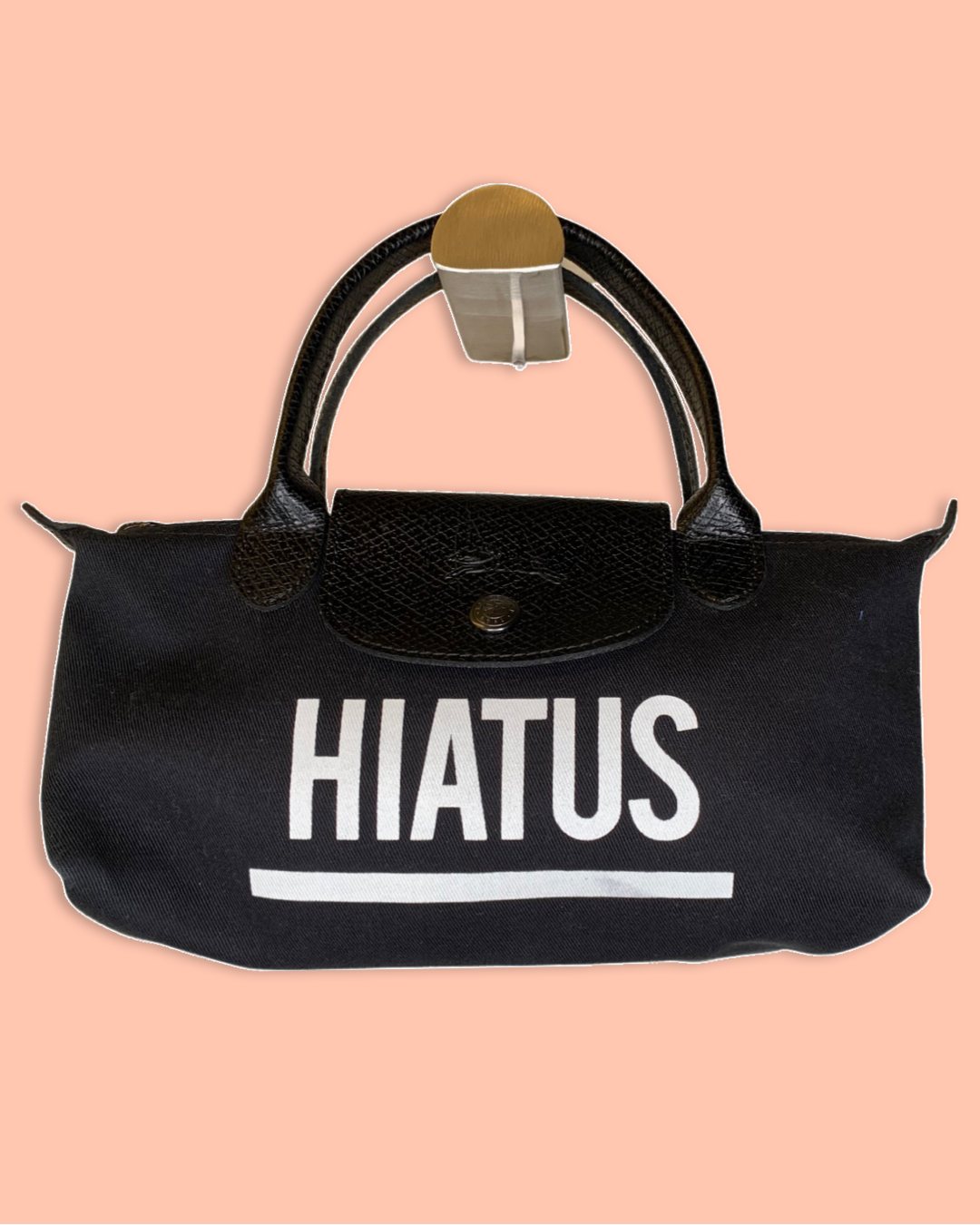 Sac Longchamp