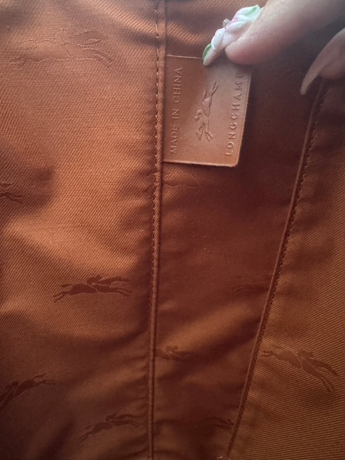 Sac Longchamp