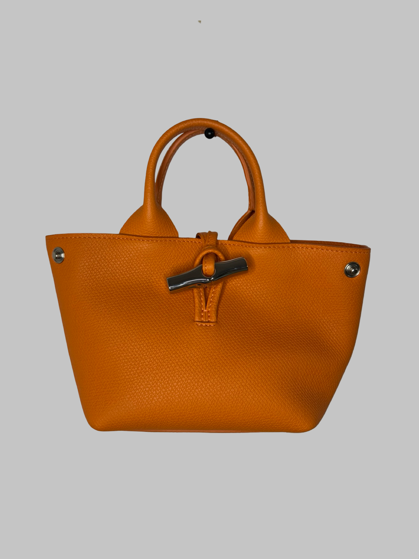 Sac Longchamp