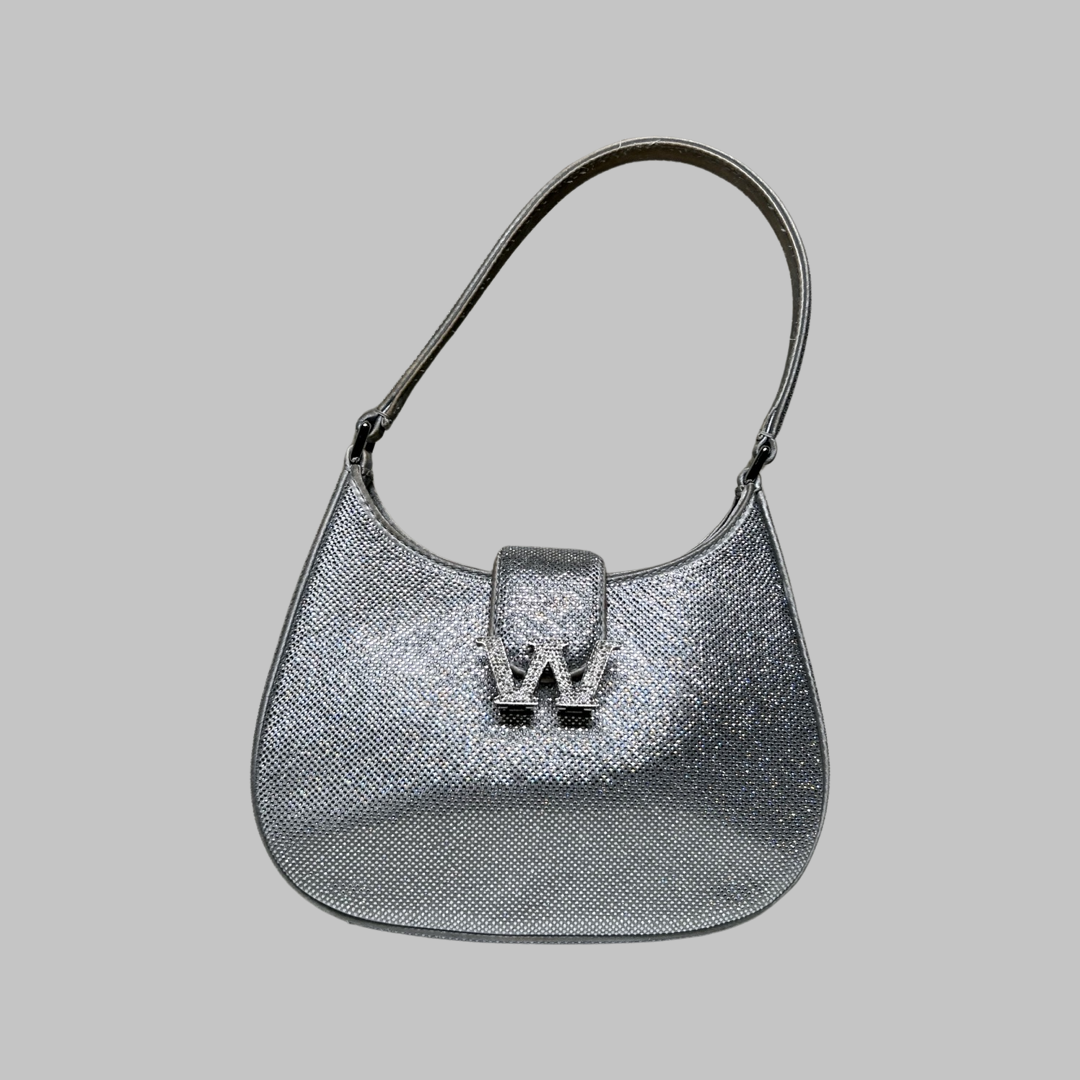 Sac Alexander Wang